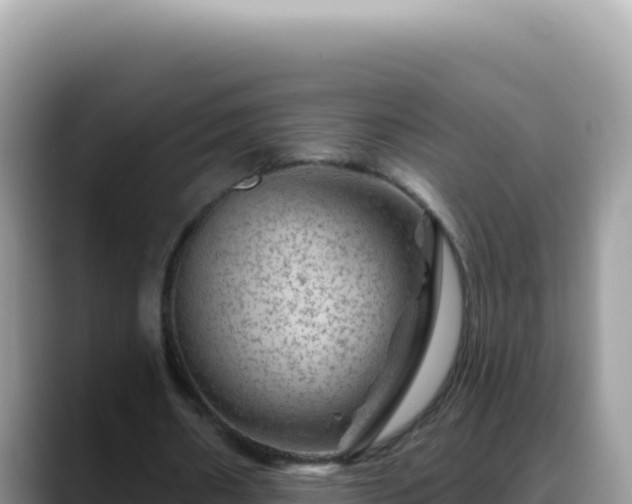 X0000088730482200706071643