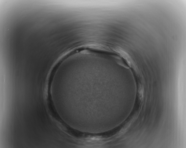 X0000088730484200706071643