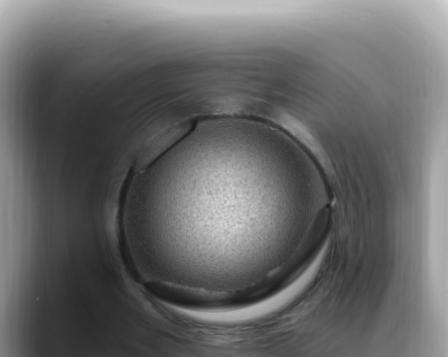 X0000088730485200706071643