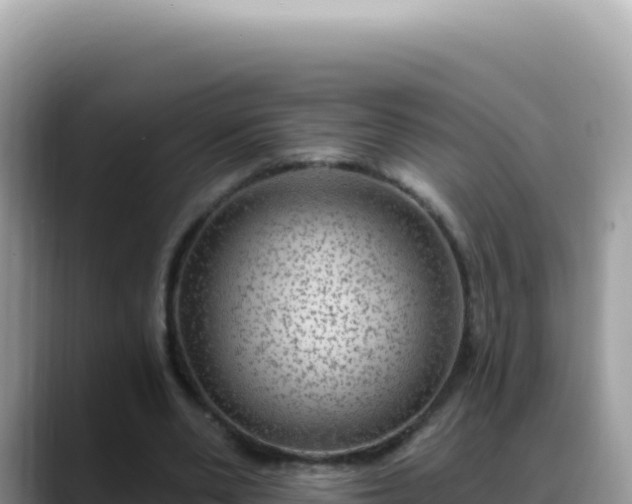 X0000088730486200706071643