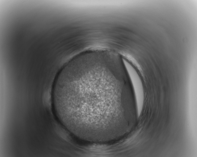 X0000088730487200706071643