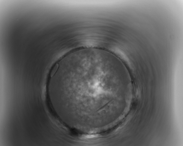 X0000088730488200706071643
