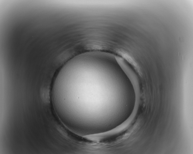 X0000088730489200706071643