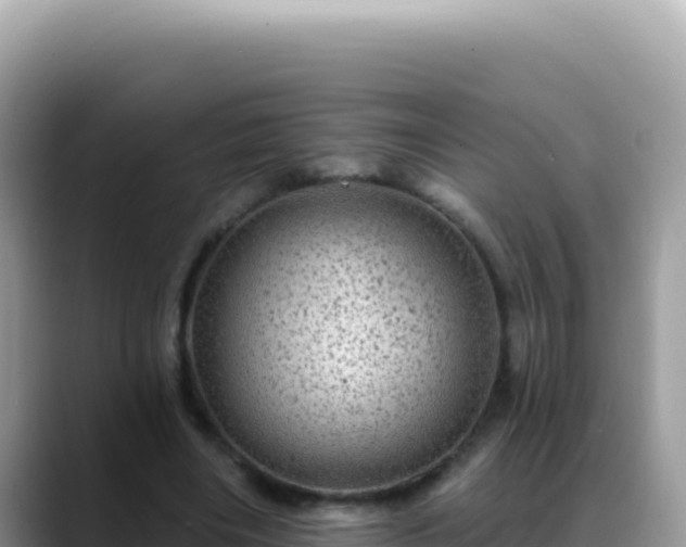 X0000088730490200706071643