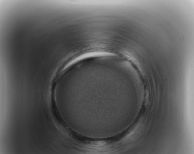X0000088730492200706071643