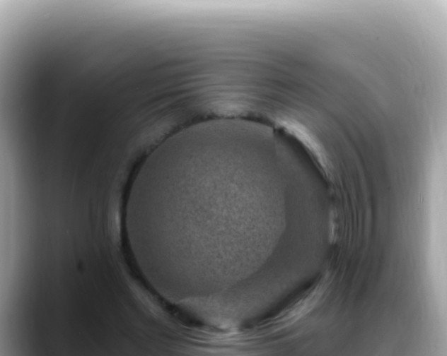 X0000088730493200706071643