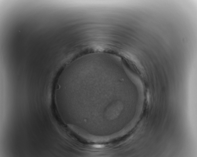 X0000088730496200706071643