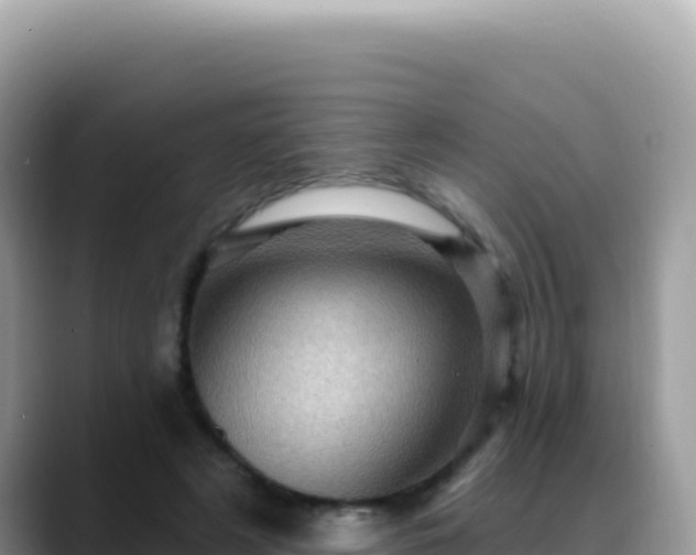 X0000088730497200706071643