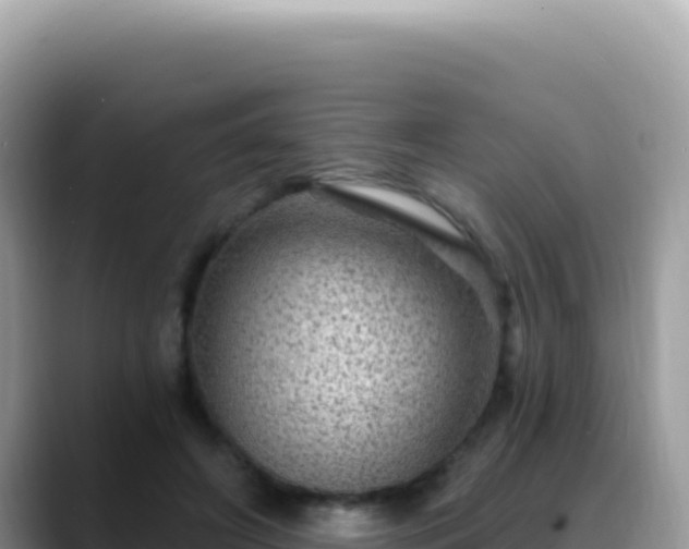 X0000088730498200706071643