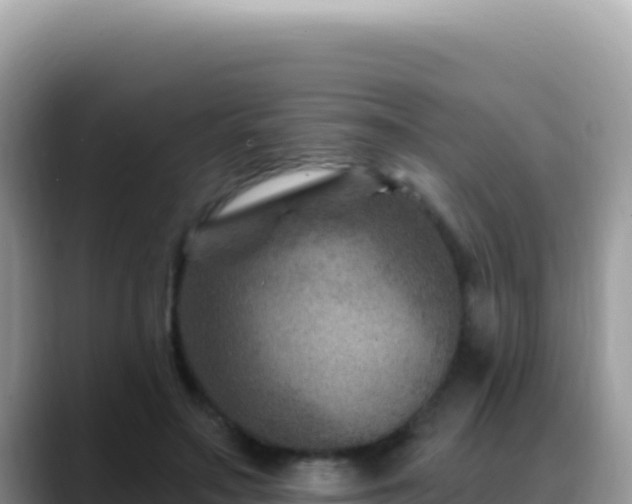 X0000088730499200706071643