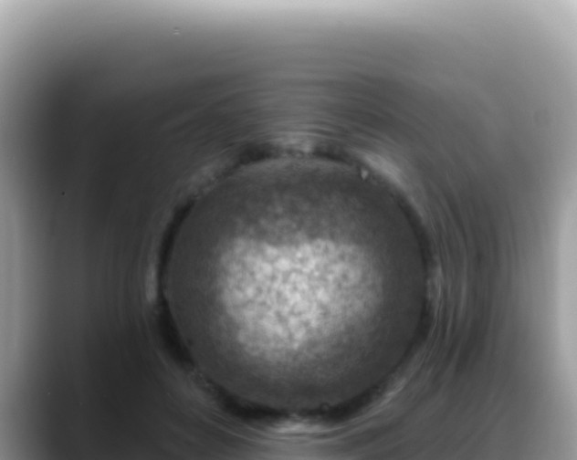 X0000088730504200706071642