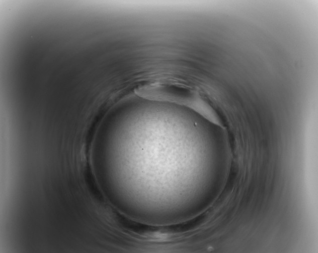X0000088730506200706071642