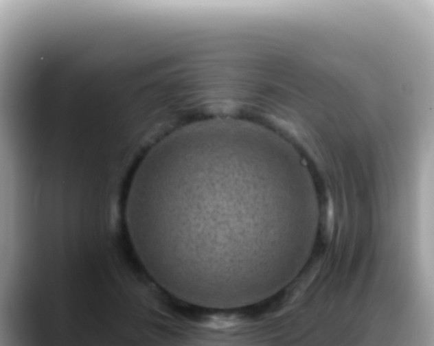 X0000088730508200706071642