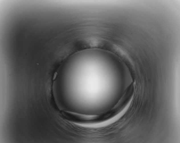 X0000088730509200706071642