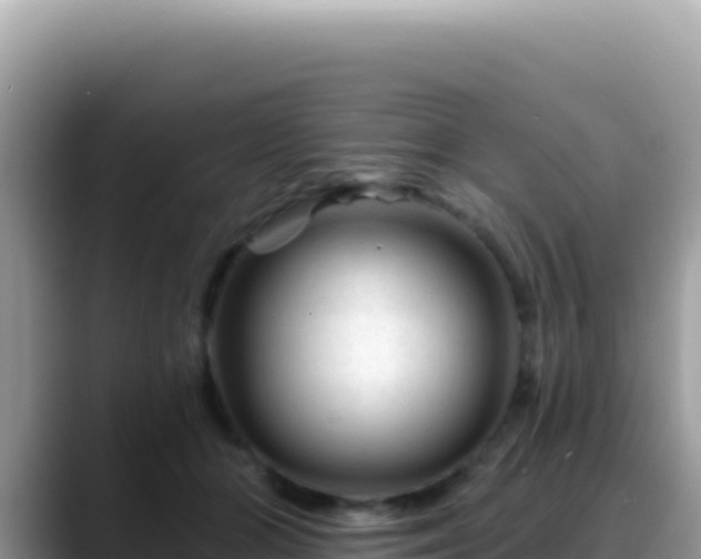 X0000088730510200706071642