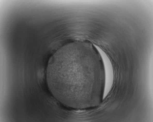X0000088730511200706071642