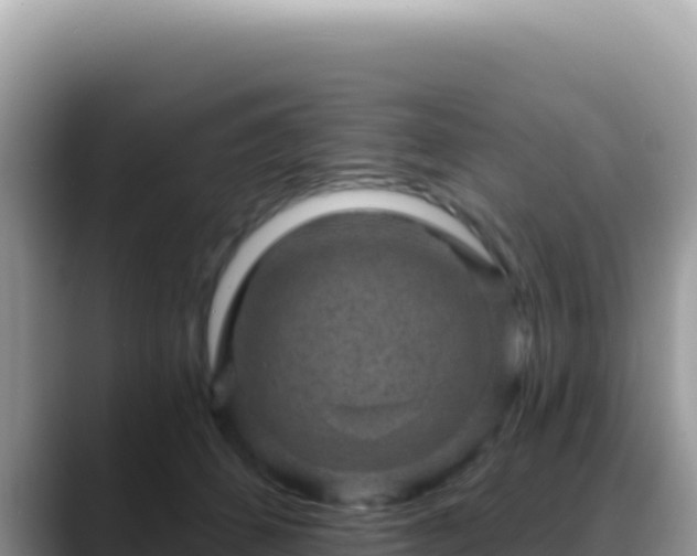 X0000088730512200706071642