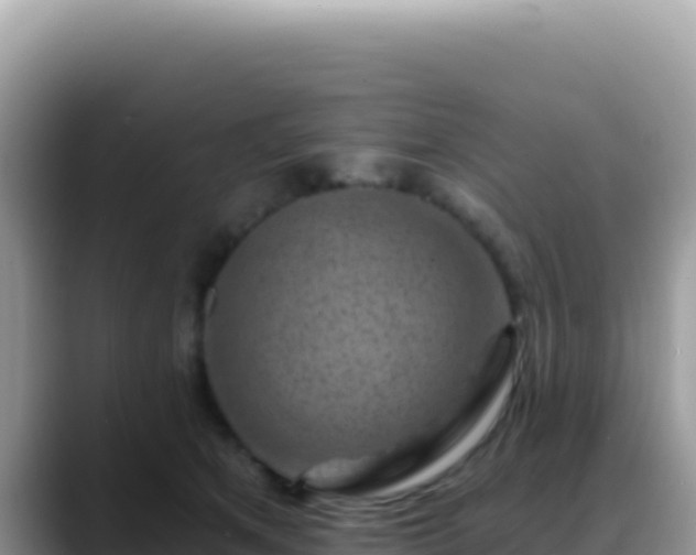 X0000088730513200706071642