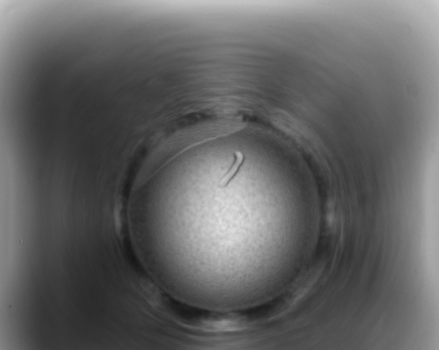 X0000088730514200706071642