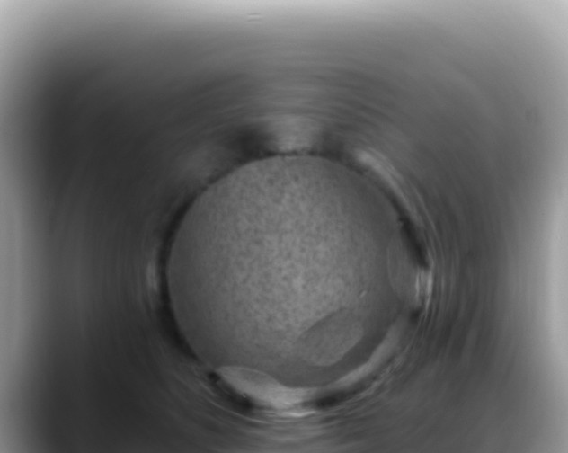 X0000088730516200706071642