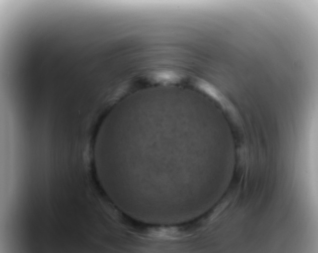 X0000088730517200706071642