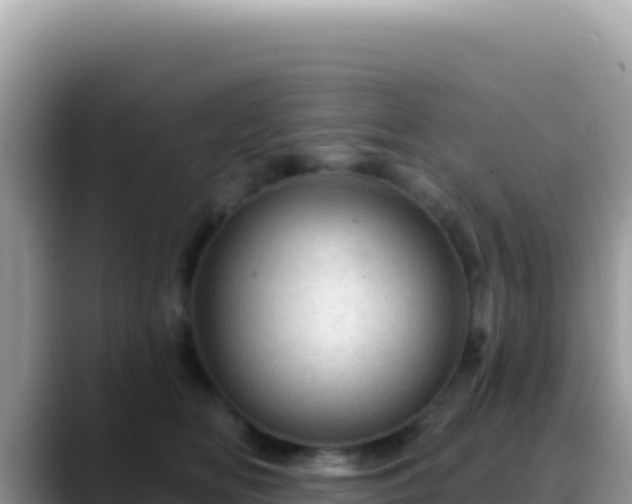 X0000088730518200706071642