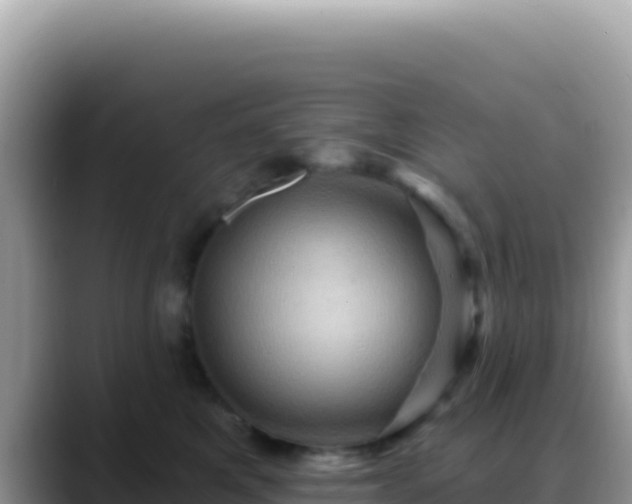 X0000088730521200706071642
