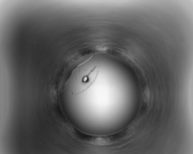 X0000088730522200706071642