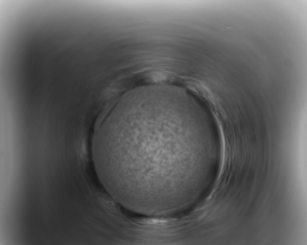 X0000088730524200706071642