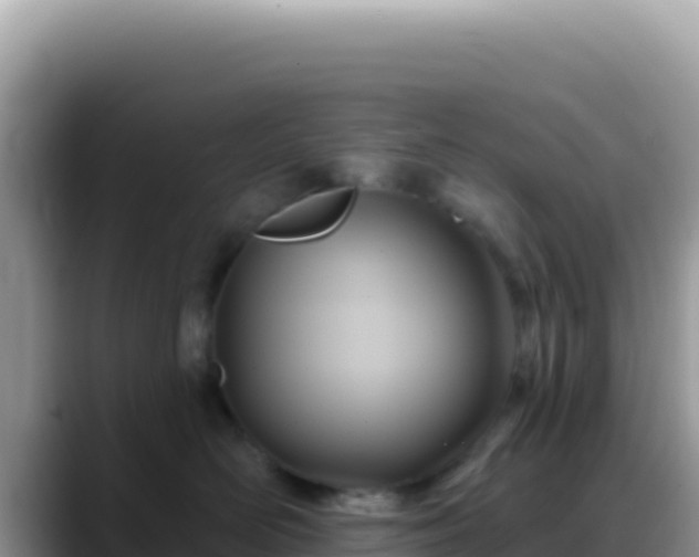 X0000088730526200706071642