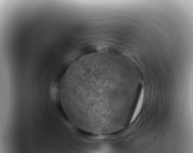 X0000088730527200706071642