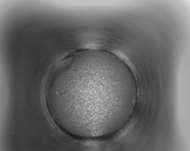 X0000088730529200706071642