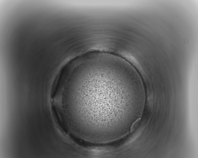 X0000088730530200706071642
