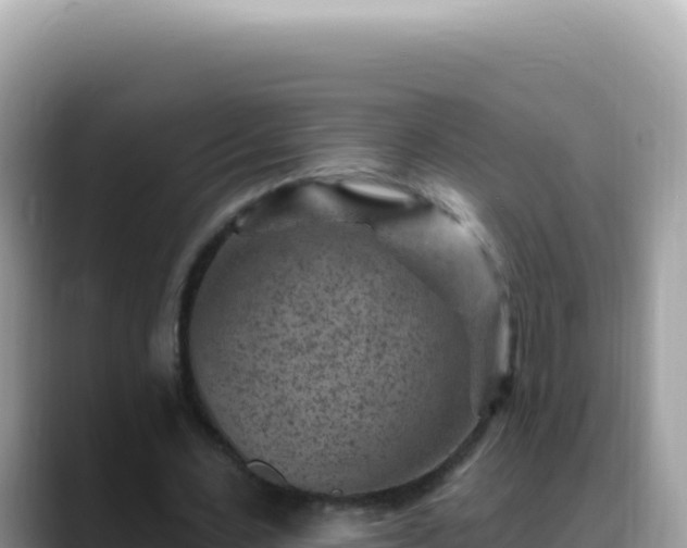 X0000088730531200706071642