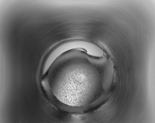 X0000088730532200706071642