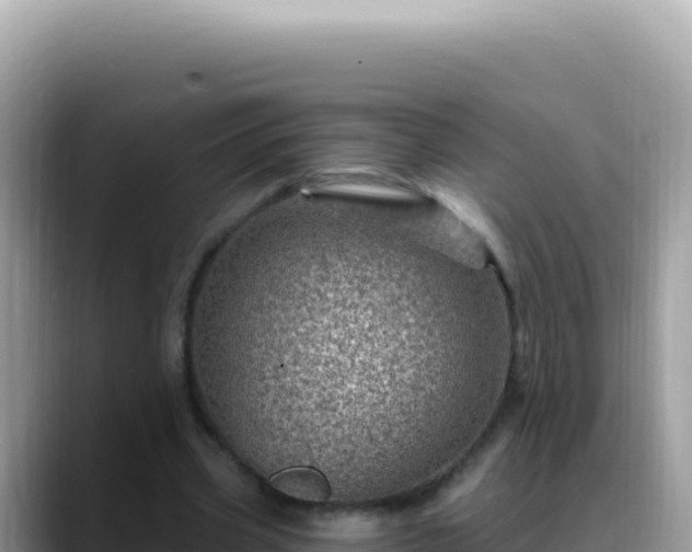 X0000088730533200706071642