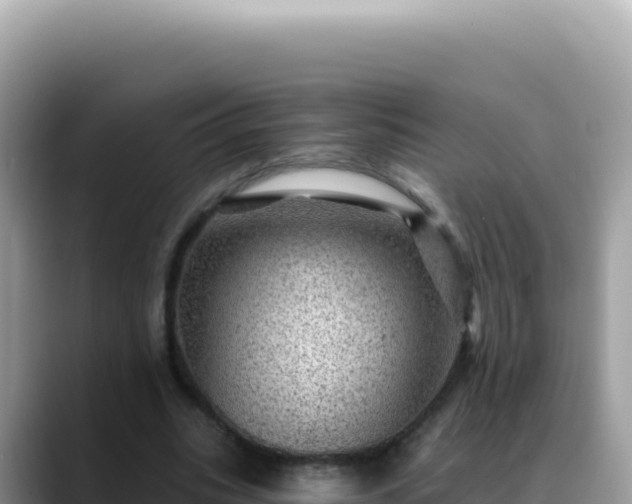 X0000088730535200706071642