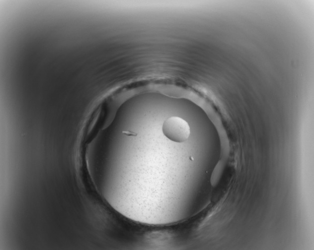 X0000088730536200706071642