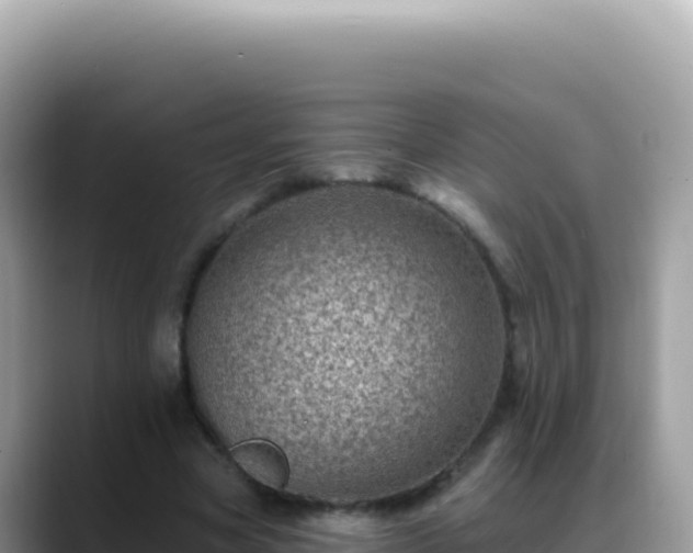 X0000088730537200706071642
