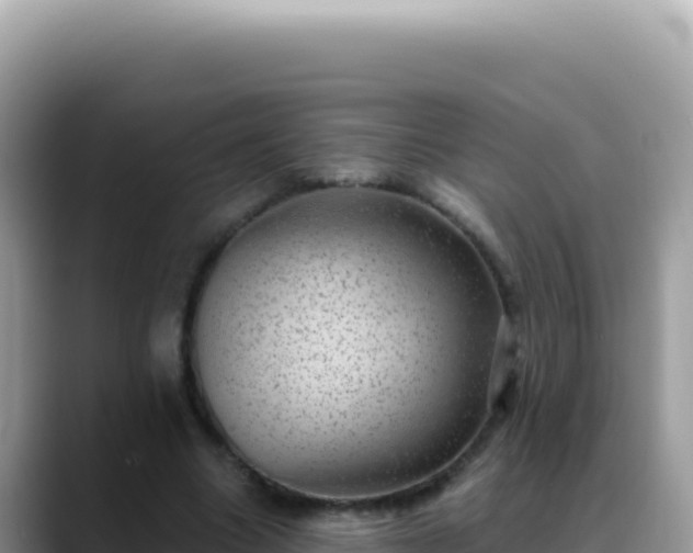 X0000088730538200706071642