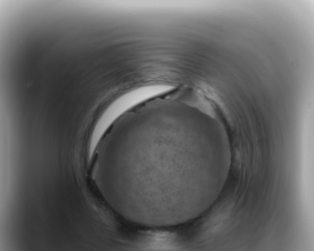 X0000088730539200706071642