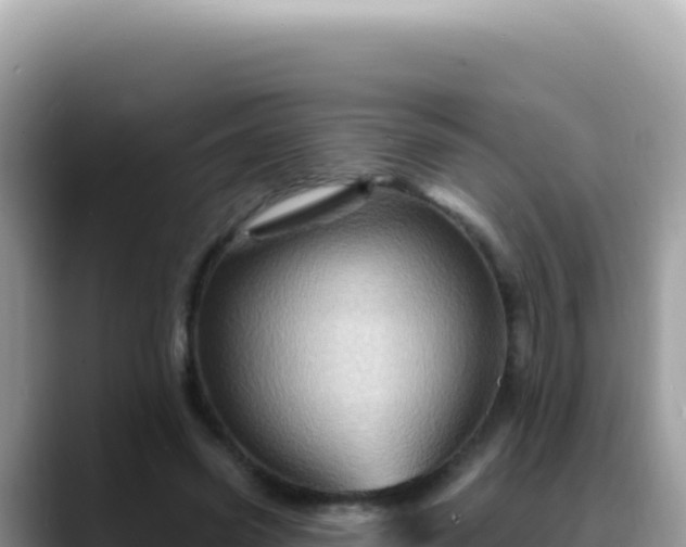 X0000088730541200706071642