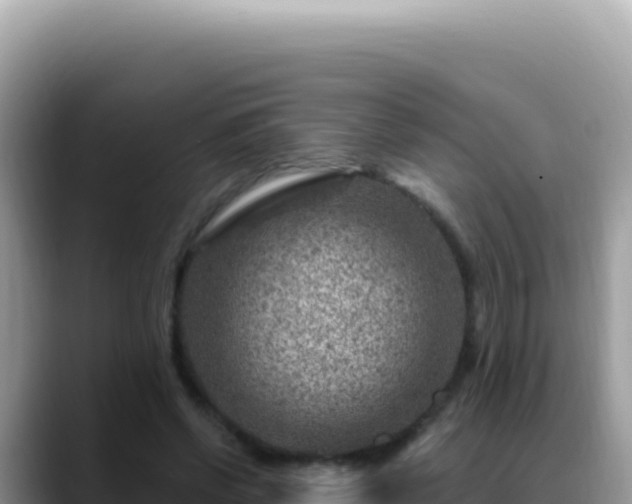 X0000088730542200706071642