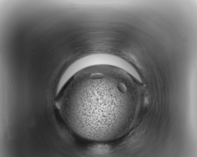X0000088730543200706071642
