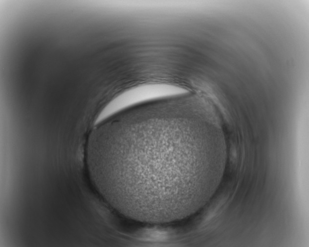 X0000088730545200706071642