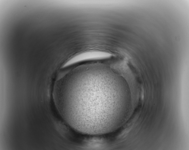 X0000088730546200706071642