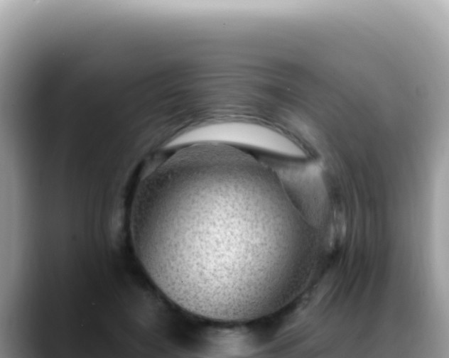 X0000088730548200706071642
