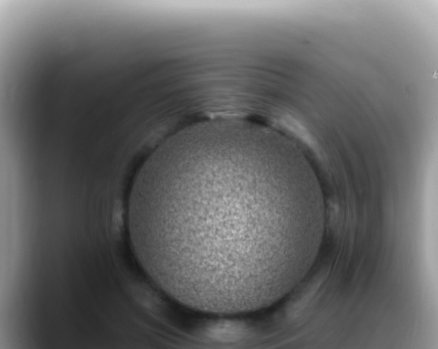 X0000088730549200706071642