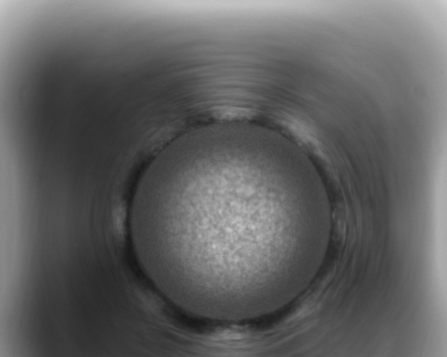 X0000088730550200706071642