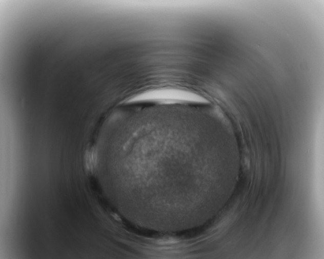 X0000088730551200706071642